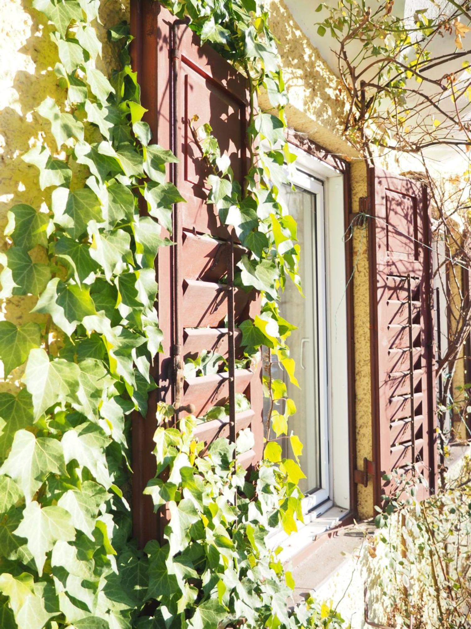 Brunnhof Gastein Hotel Bad Hofgastein Ngoại thất bức ảnh